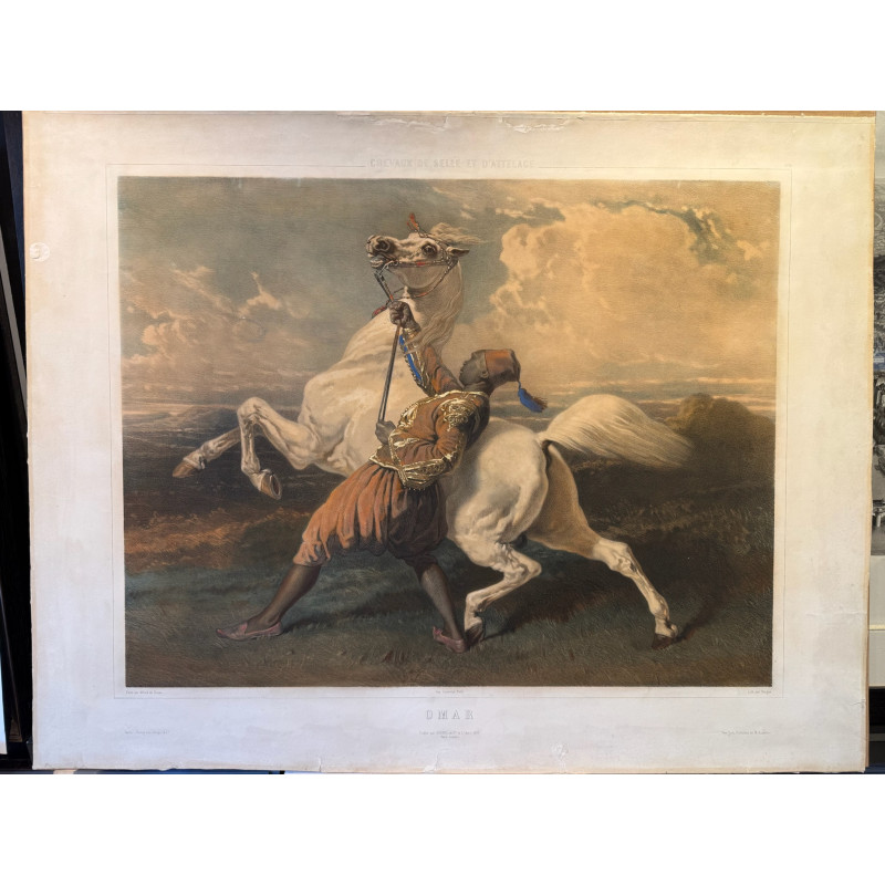 Aperçu du produit: Chevaux de selle et d'attelages, Alfred de Dreux, Omar, 1859.