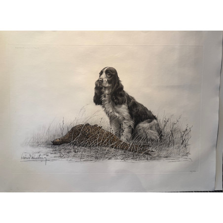 Chien et faisan, eau forte originale de Léon Danchin, 1931.