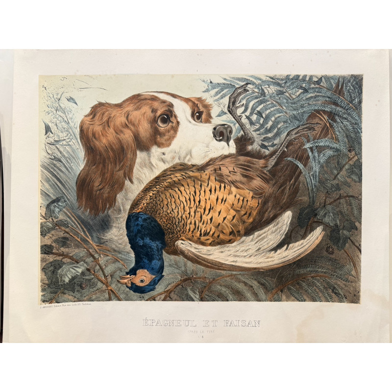 Aperçu du produit: Epagneul et faisan, Albert Adam, 1874.