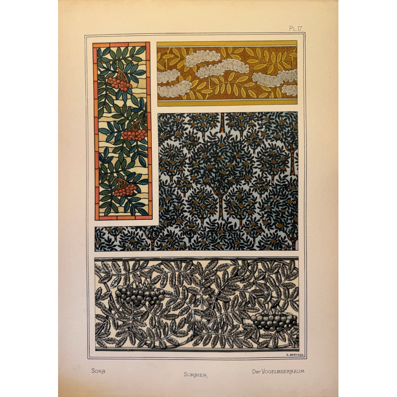 Aperçu du produit: Sorbier, la plante et ses applications ornementales parue en 1896, Eugéne Grasset.