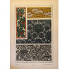 Sorbier, la plante et ses applications ornementales parue en 1896, Eugéne Grasset.