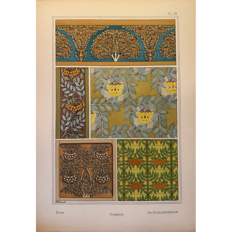 Aperçu du produit: Sorbier, la plante et ses applications ornementales parue en 1896, Eugéne Grasset.