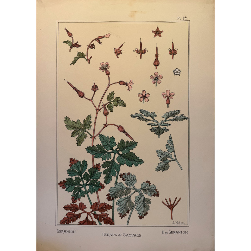 Aperçu du produit: Géranium sauvage, la plante et ses applications ornementales parue en 1896, Eugéne Grasset.