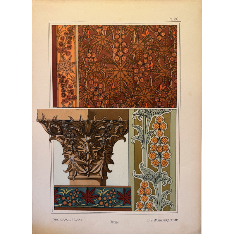 Aperçu du produit: Ricin, la plante et ses applications ornementales parue en 1896, Eugéne Grasset.