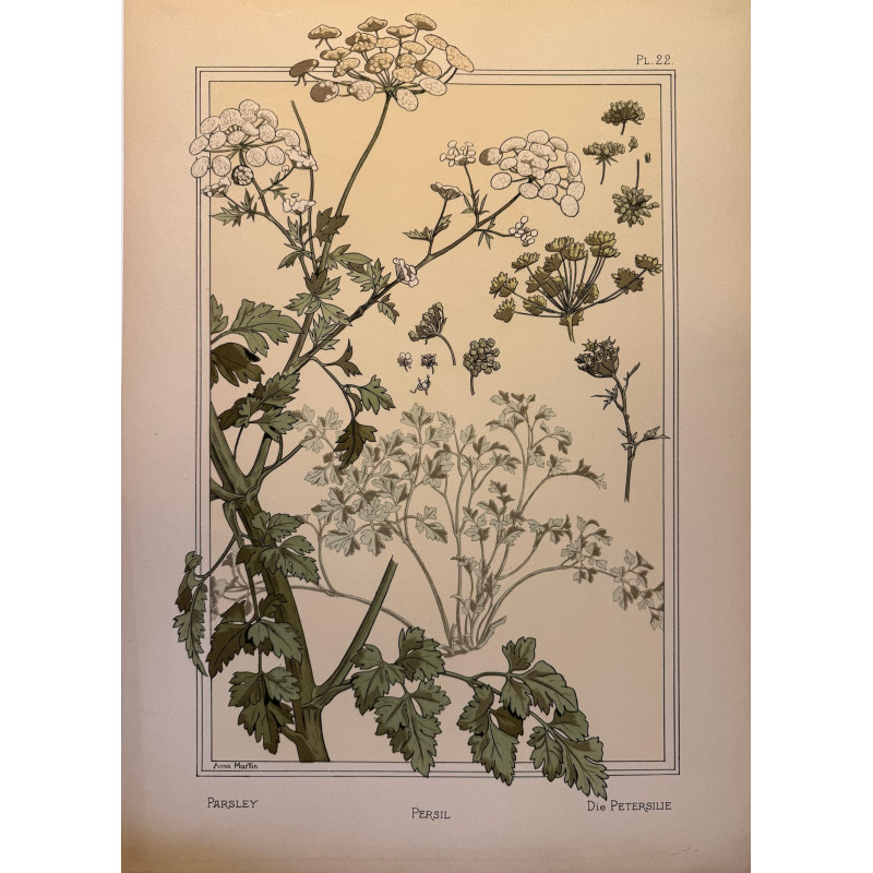 Aperçu du produit: Persil, la plante et ses applications ornementales parue en 1896, Eugéne Grasset.