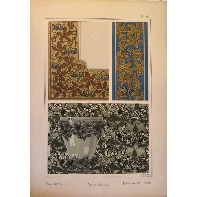 Aperçu du produit: Vigne vierge, la plante et ses applications ornementales parue en 1896, Eugéne Grasset.