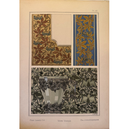 Vigne vierge, la plante et ses applications ornementales parue en 1896, Eugéne Grasset.