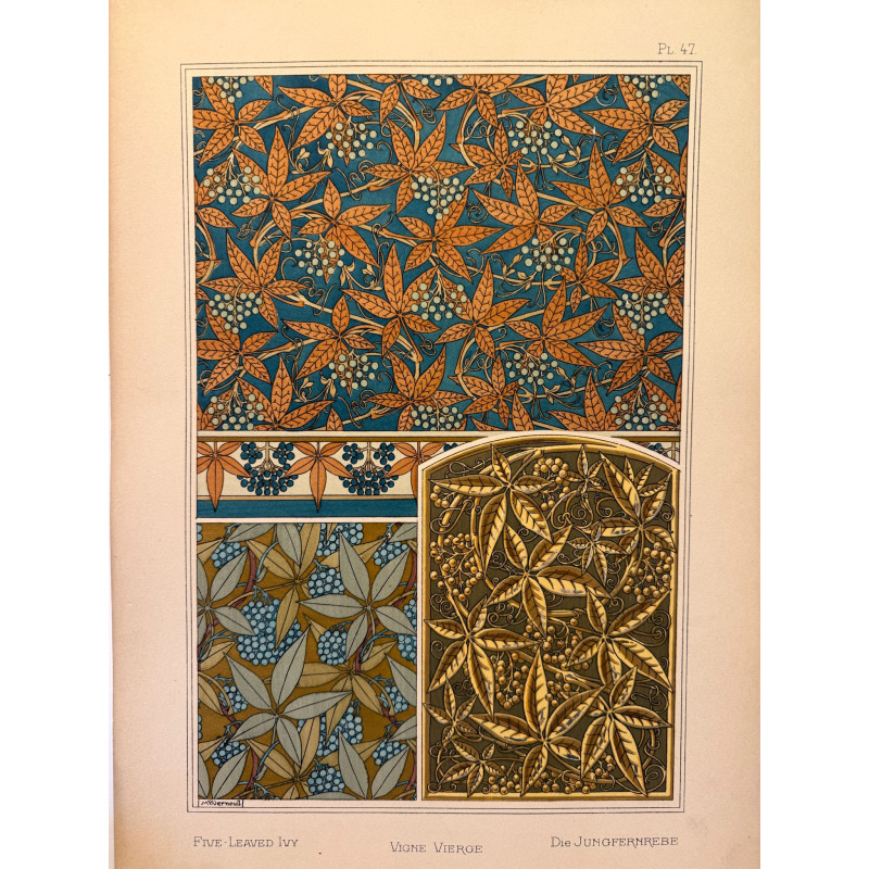 Aperçu du produit: Vigne vierge, la plante et ses applications ornementales parue en 1896, Eugéne Grasset.
