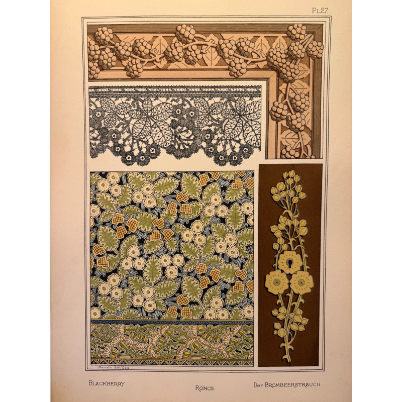 Aperçu du produit: Ronce, la plante et ses applications ornementales parue en 1896, Eugéne Grasset.