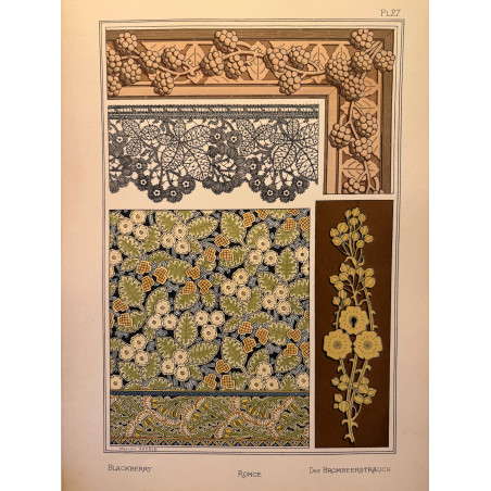 Ronce, la plante et ses applications ornementales parue en 1896, Eugéne Grasset.