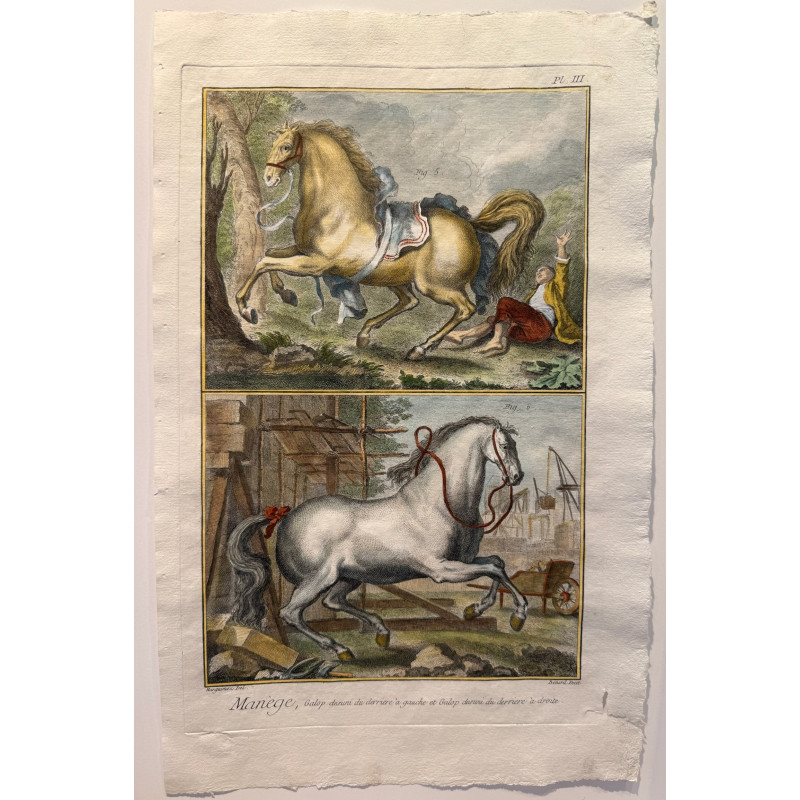 Aperçu du produit: Manège, Diderot d'Alembert, 1751, Pl 3.