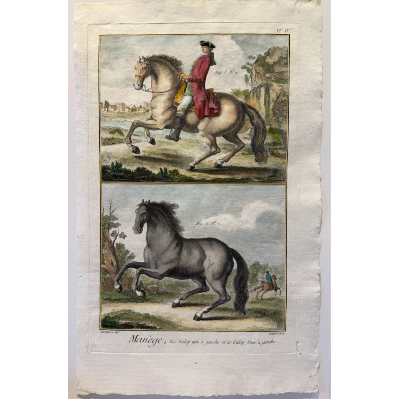 Aperçu du produit: Manège, Diderot d'Alembert, 1751, Pl 4 .