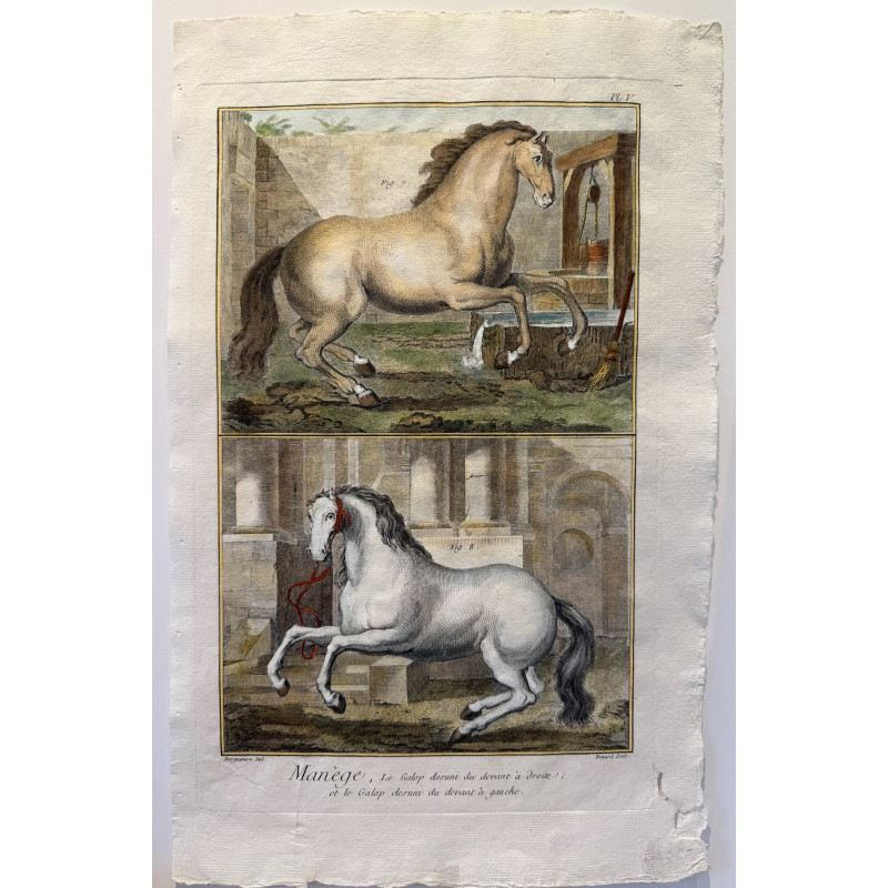 Aperçu du produit: Manège, Diderot d'Alembert, 1751, Pl 5 .