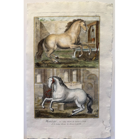 Manège, Diderot d'Alembert, 1751, Pl 5 .