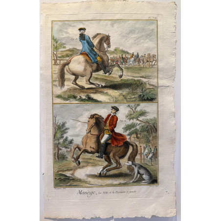 Manège, Diderot d'Alembert, 1751, Pl 8 .