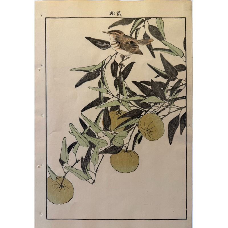Aperçu du produit: Imao Keinen 1845, 1924, Keinen Gafu (Oiseaux et fleurs)