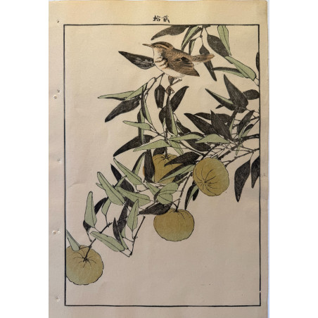 Imao Keinen 1845, 1924, Keinen Gafu (Oiseaux et fleurs)