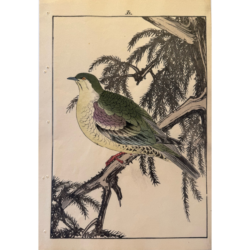 Aperçu du produit: Imao Keinen 1845, 1924, Keinen Gafu (Oiseaux et fleurs)