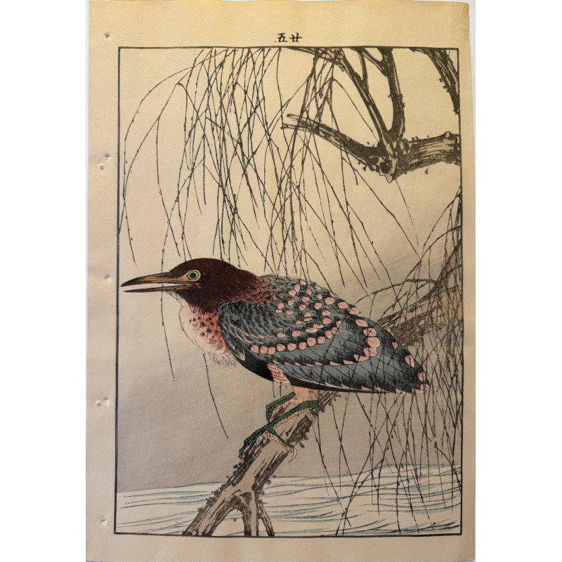 Aperçu du produit: Imao Keinen 1845, 1924, Keinen Gafu (Oiseaux et fleurs)