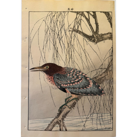 Imao Keinen 1845, 1924, Keinen Gafu (Oiseaux et fleurs)