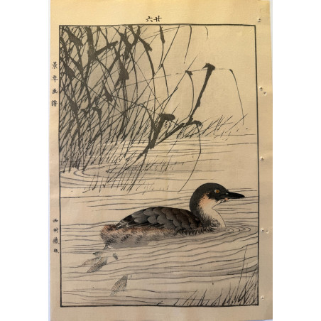 Imao Keinen 1845, 1924, Keinen Gafu (Oiseaux et fleurs)