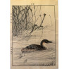 Imao Keinen 1845, 1924, Keinen Gafu (Oiseaux et fleurs)