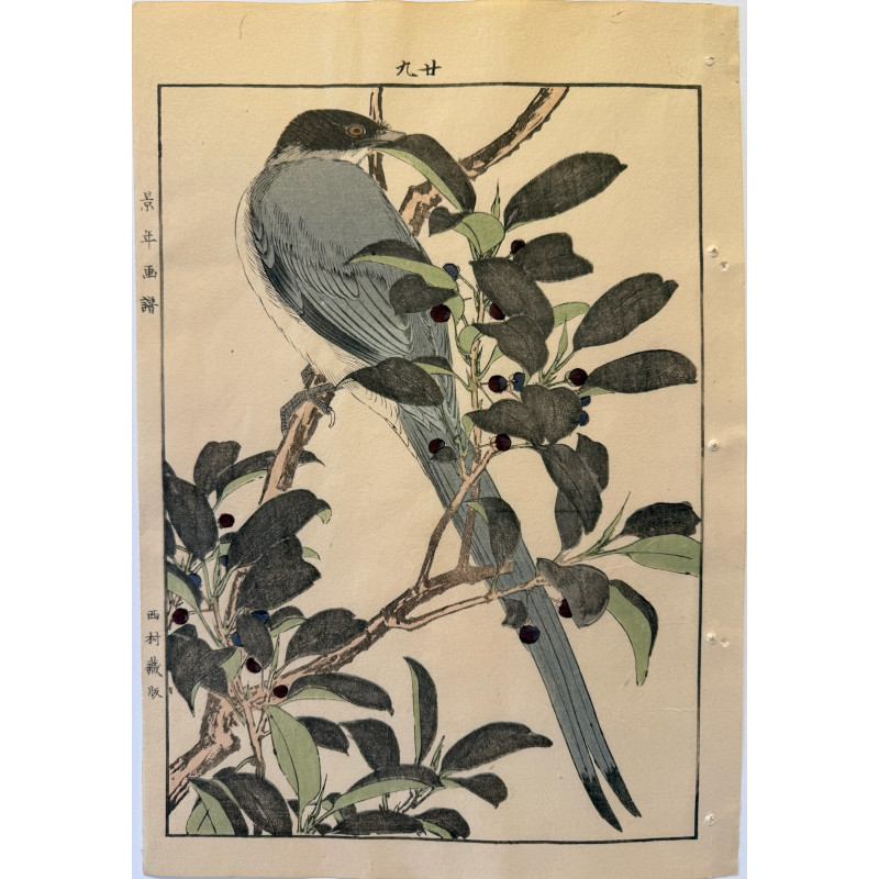 Aperçu du produit: Imao Keinen 1845, 1924, Keinen Gafu (Oiseaux et fleurs)