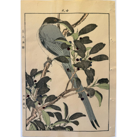 Imao Keinen 1845, 1924, Keinen Gafu (Oiseaux et fleurs)