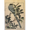 Imao Keinen 1845, 1924, Keinen Gafu (Oiseaux et fleurs)