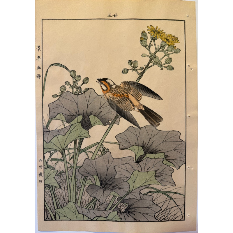 Aperçu du produit: Imao Keinen 1845, 1924, Keinen Gafu (Oiseaux et fleurs)