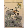 Imao Keinen 1845, 1924, Keinen Gafu (Oiseaux et fleurs)