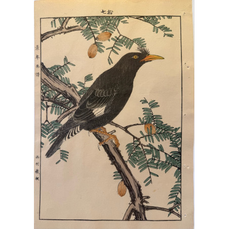 copy of Imao Keinen 1845, 1924, Keinen Gafu (Oiseaux et fleurs)