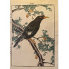 copy of Imao Keinen 1845, 1924, Keinen Gafu (Oiseaux et fleurs)