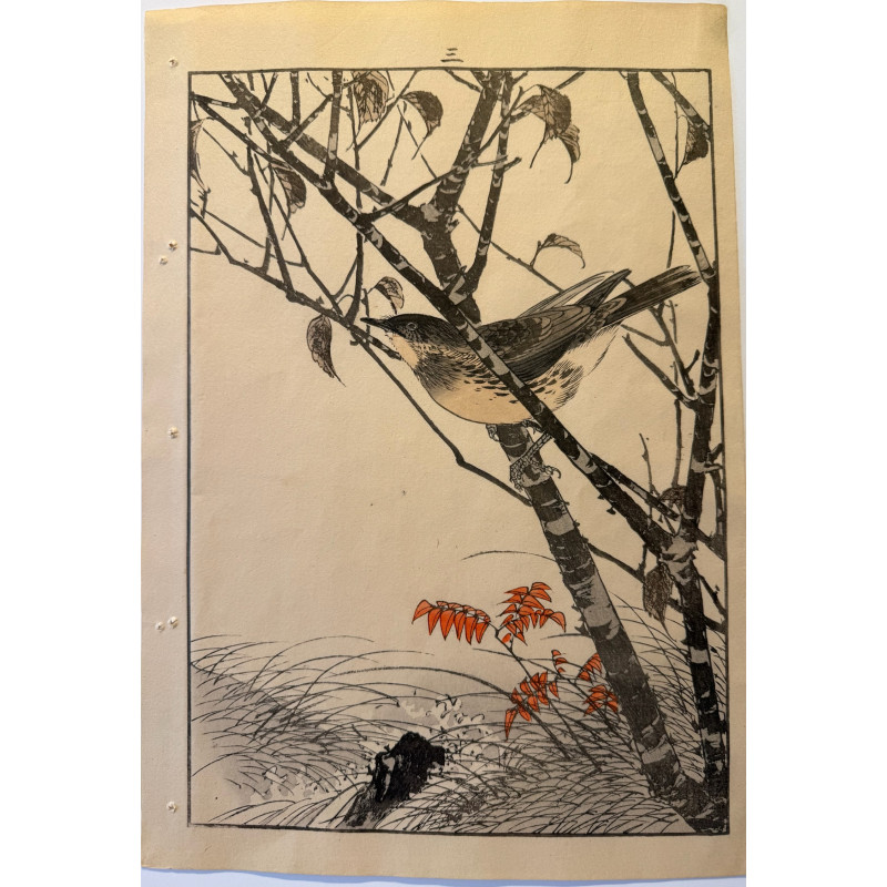 Aperçu du produit: Imao Keinen 1845, 1924, Keinen Gafu (Oiseaux et fleurs)