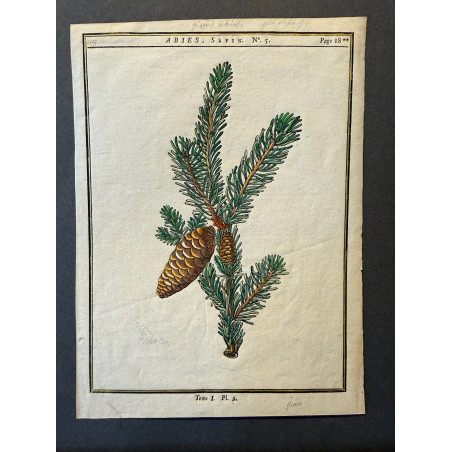 DUHAMEL DU MONCEAU 1772