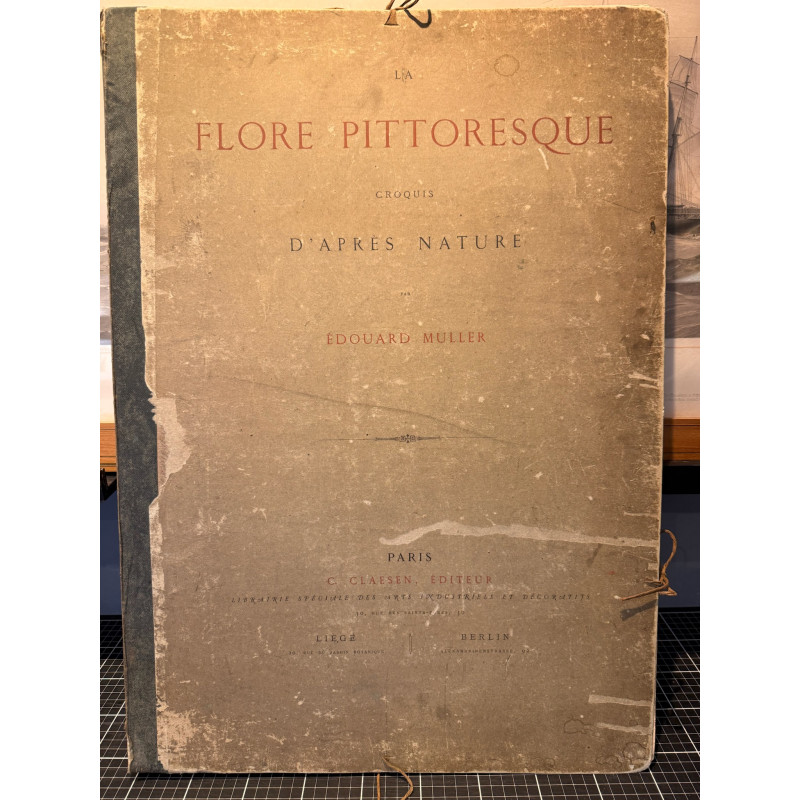 Aperçu du produit: La flore pittoresque, croquis d'après nature par Edouard Muller, 1872.