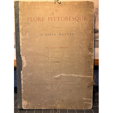 La flore pittoresque, croquis d'après nature par Edouard Muller, 1872.