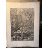 La flore pittoresque, croquis d'après nature par Edouard Muller, 1872.