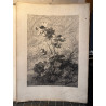 La flore pittoresque, croquis d'après nature par Edouard Muller, 1872.