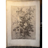 La flore pittoresque, croquis d'après nature par Edouard Muller, 1872.