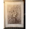 La flore pittoresque, croquis d'après nature par Edouard Muller, 1872.