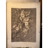 La flore pittoresque, croquis d'après nature par Edouard Muller, 1872.