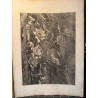 La flore pittoresque, croquis d'après nature par Edouard Muller, 1872.