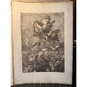 La flore pittoresque, croquis d'après nature par Edouard Muller, 1872.