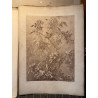 La flore pittoresque, croquis d'après nature par Edouard Muller, 1872.