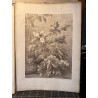 La flore pittoresque, croquis d'après nature par Edouard Muller, 1872.