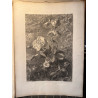 La flore pittoresque, croquis d'après nature par Edouard Muller, 1872.