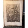 La flore pittoresque, croquis d'après nature par Edouard Muller, 1872.