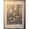 La flore pittoresque, croquis d'après nature par Edouard Muller, 1872.