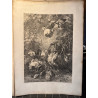 La flore pittoresque, croquis d'après nature par Edouard Muller, 1872.